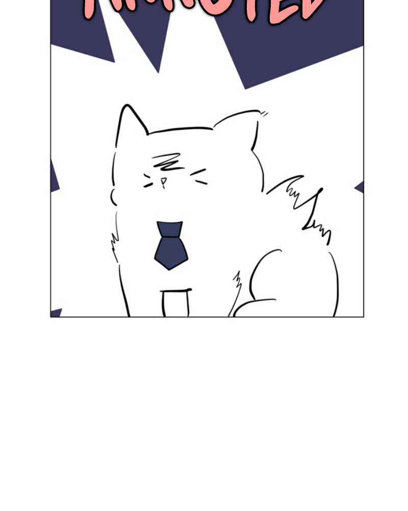 101