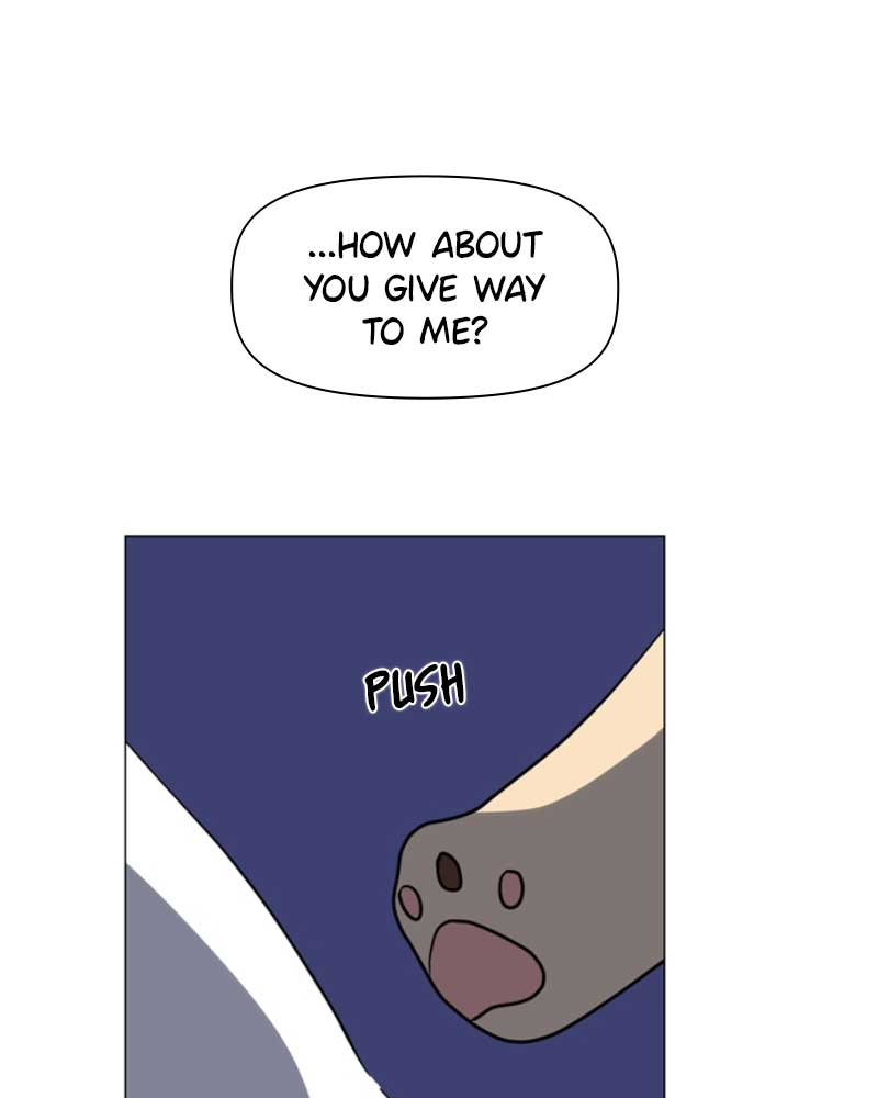 111