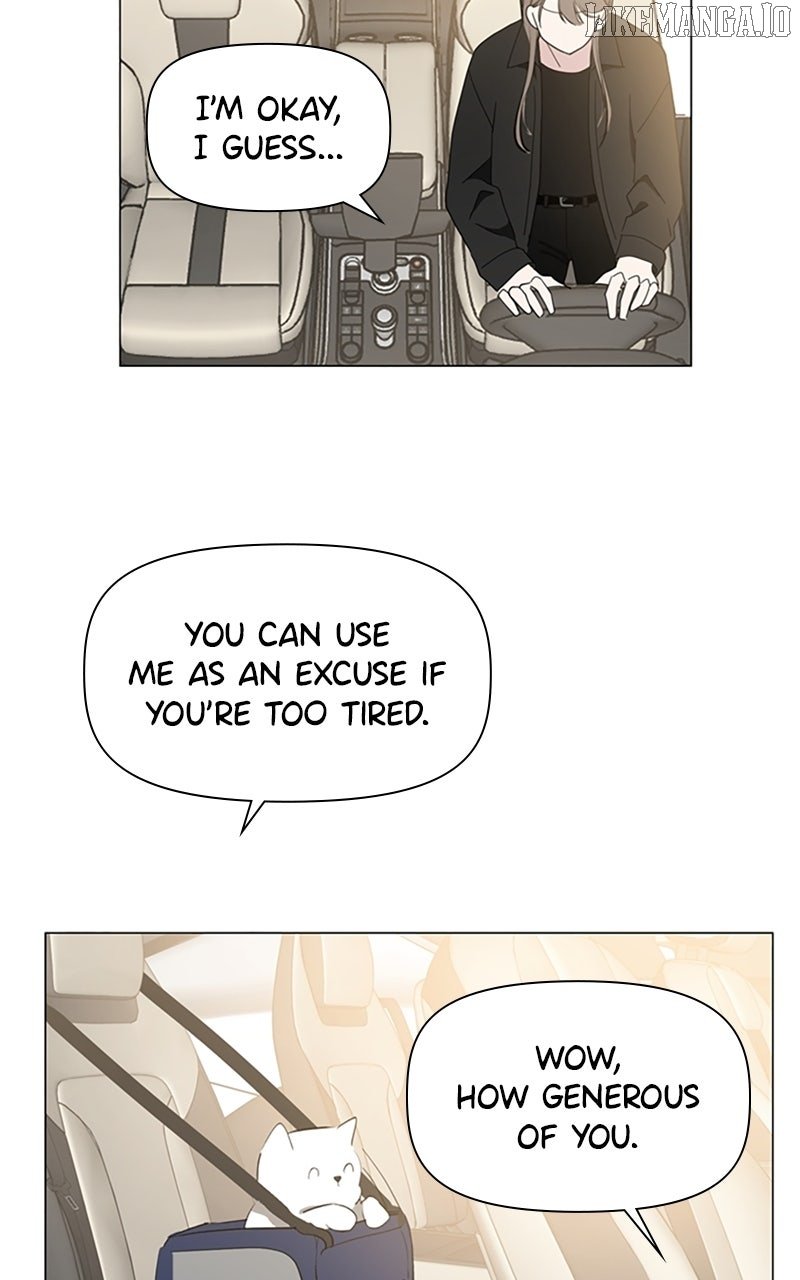 81