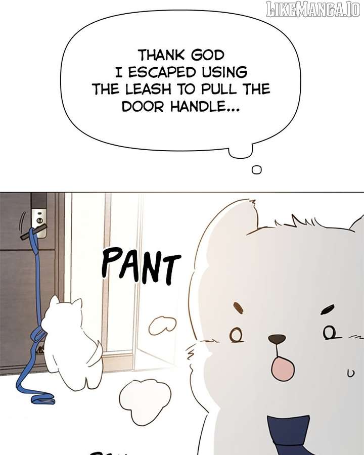 017