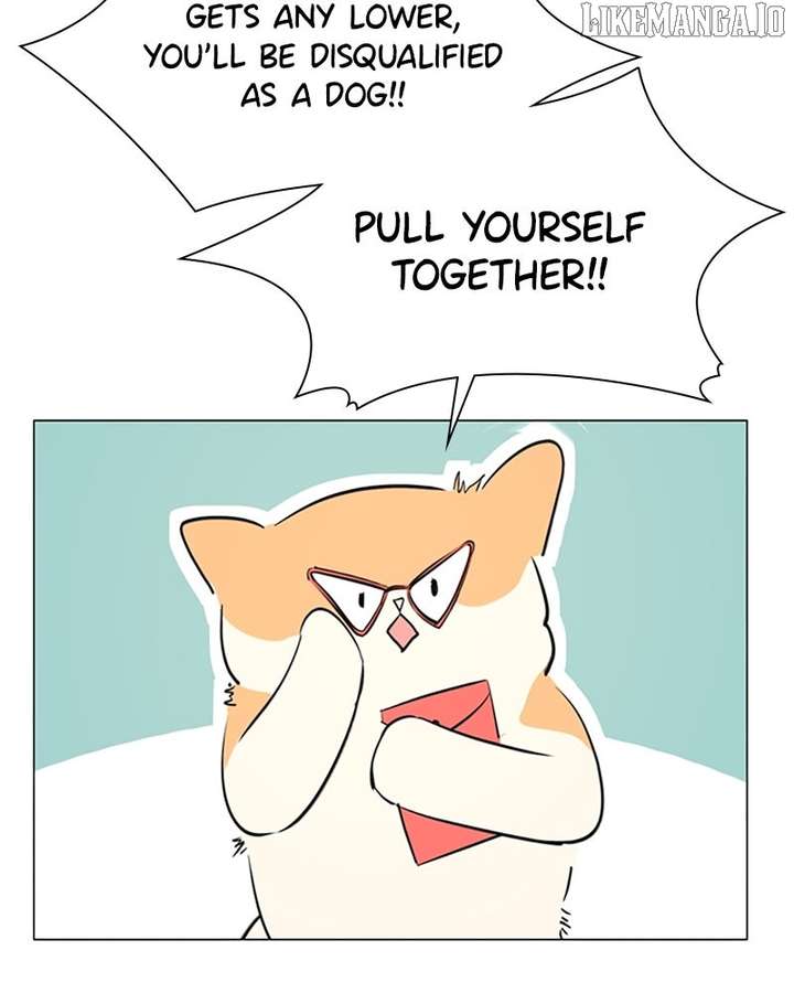 062