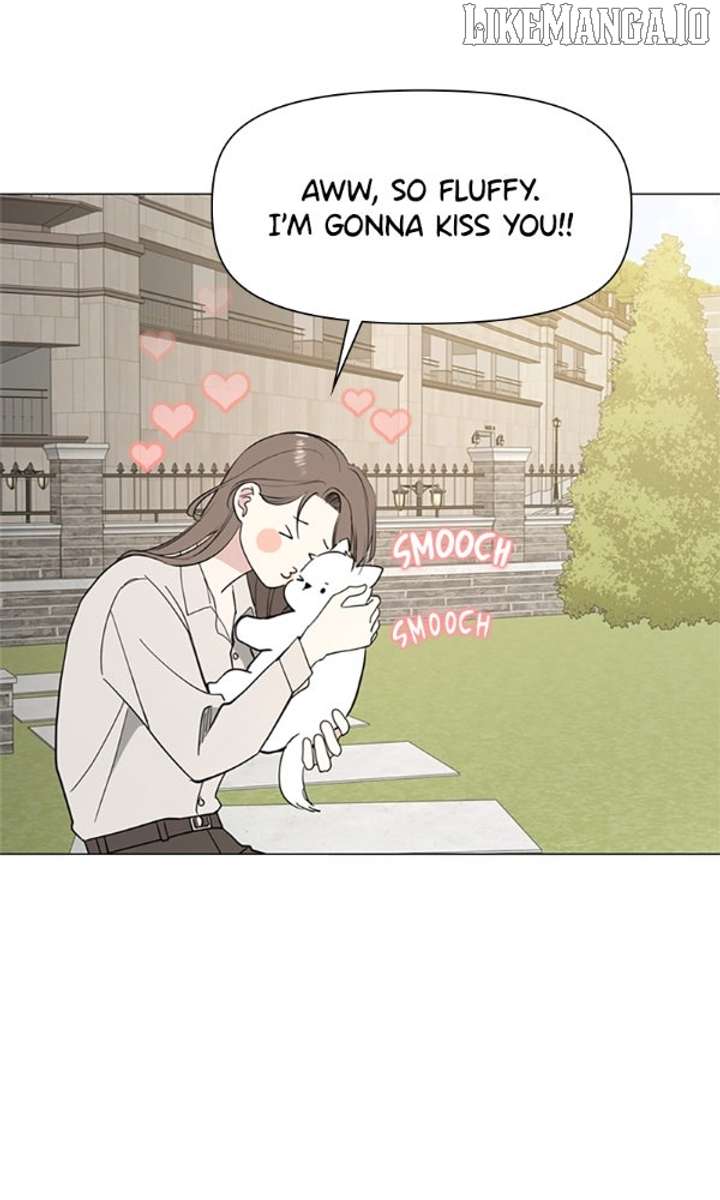 46