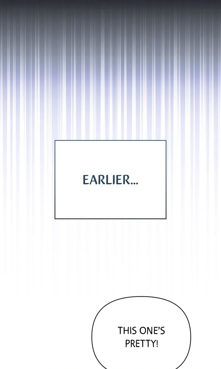 52b865bf2ed8