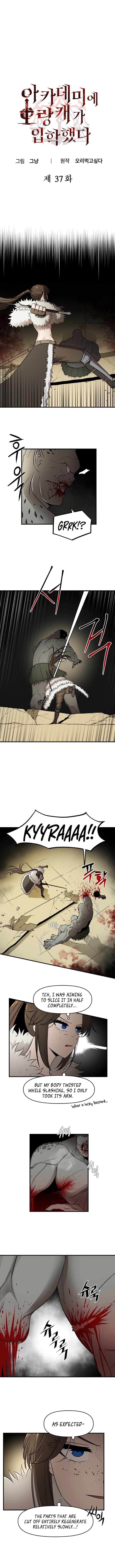 A Barbarian Was Admitted to the Academy Chapter 37 29 1