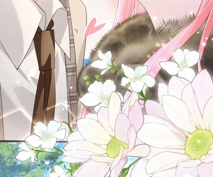 ch 96 15