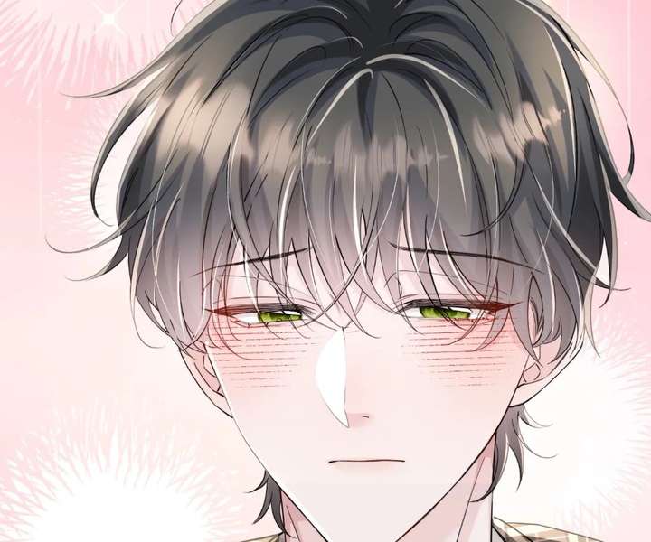 ch 96 55