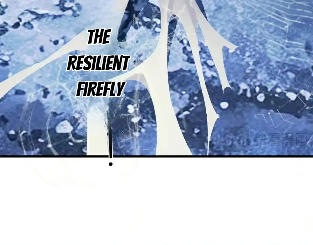 15f1d421385e 14 29