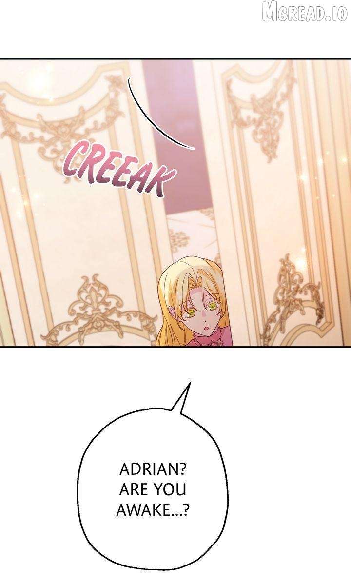 ch 26 27