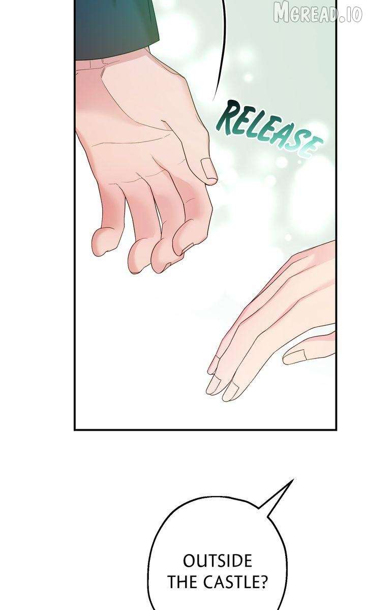 ch 27 81
