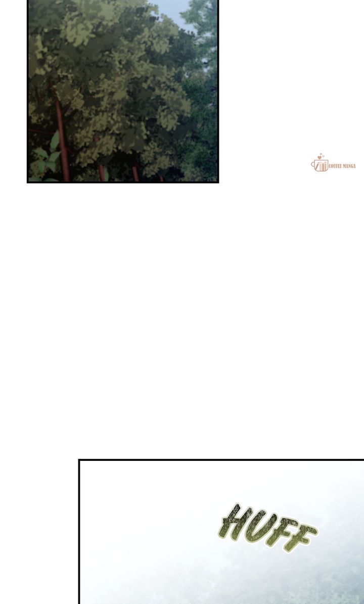image 31 result