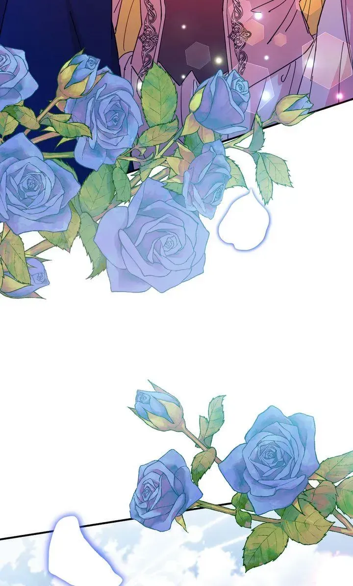 144e4837b6c0 100 webp
