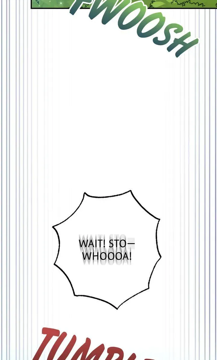 b428d2104104 55 webp