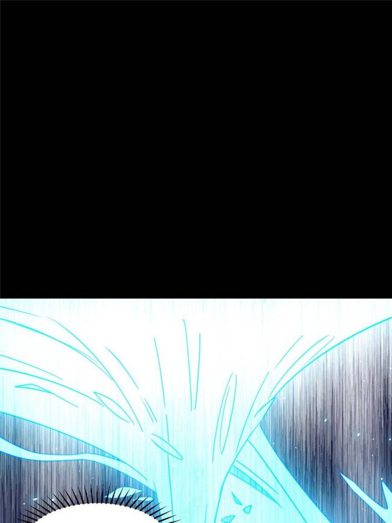 81