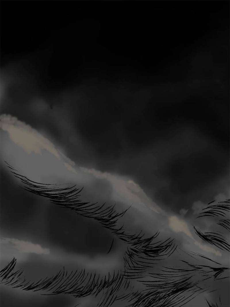 81