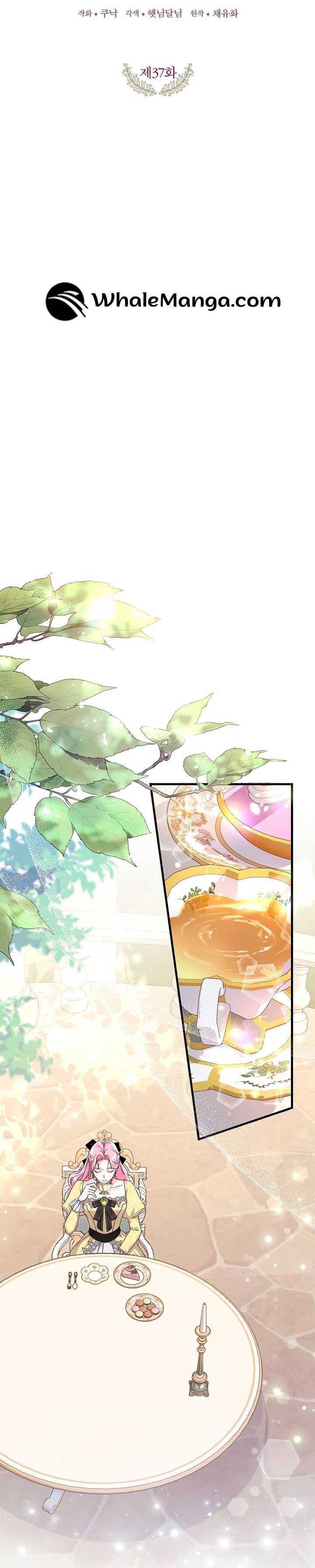 The Terminally-Ill Villain Supports my Broken Engagement Chapter 37 164 19