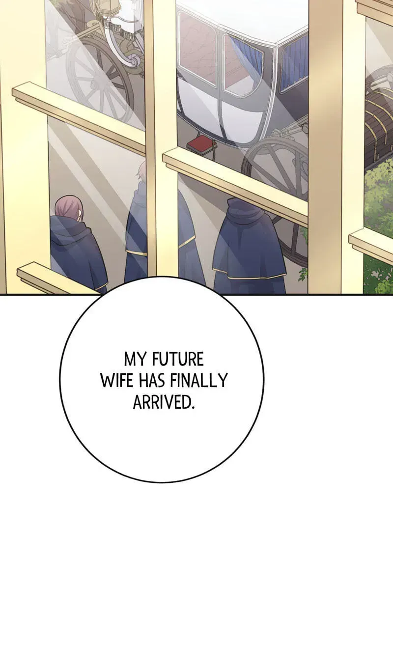 Teach Me True Love on Hand and Foot Chapter 43 482 5d13cad0f0a0