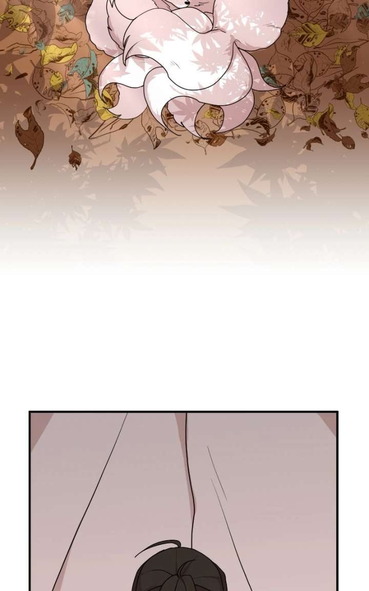 ch 29 19