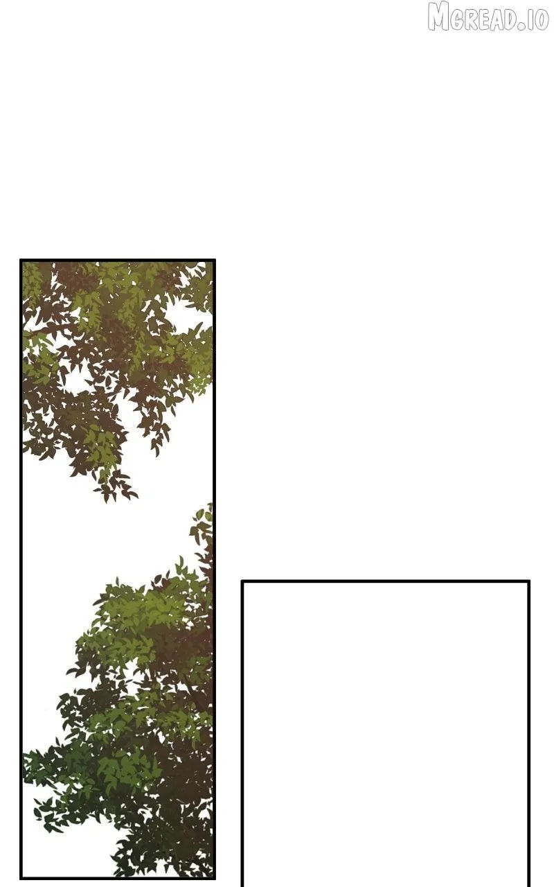 672556a47779