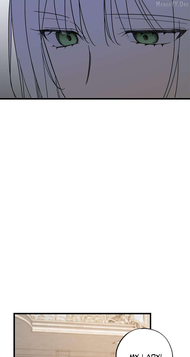 ch 100 24