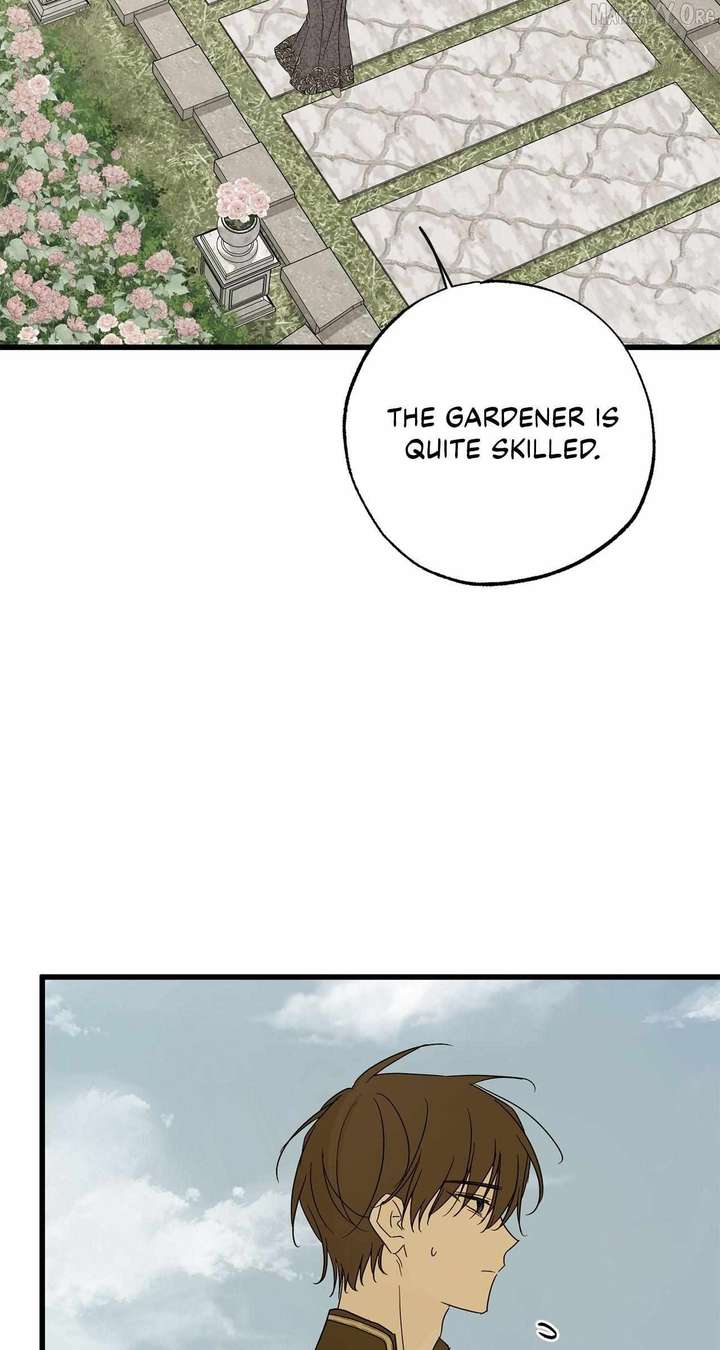 My Husband Who Hates Me Has Lost His Memories Chapter 103 322 ch 103 31