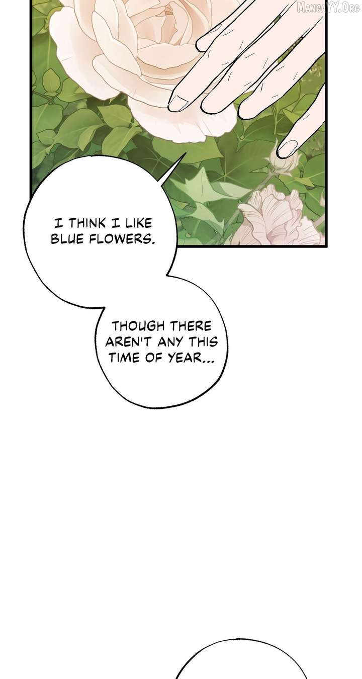 My Husband Who Hates Me Has Lost His Memories Chapter 103 327 ch 103 36