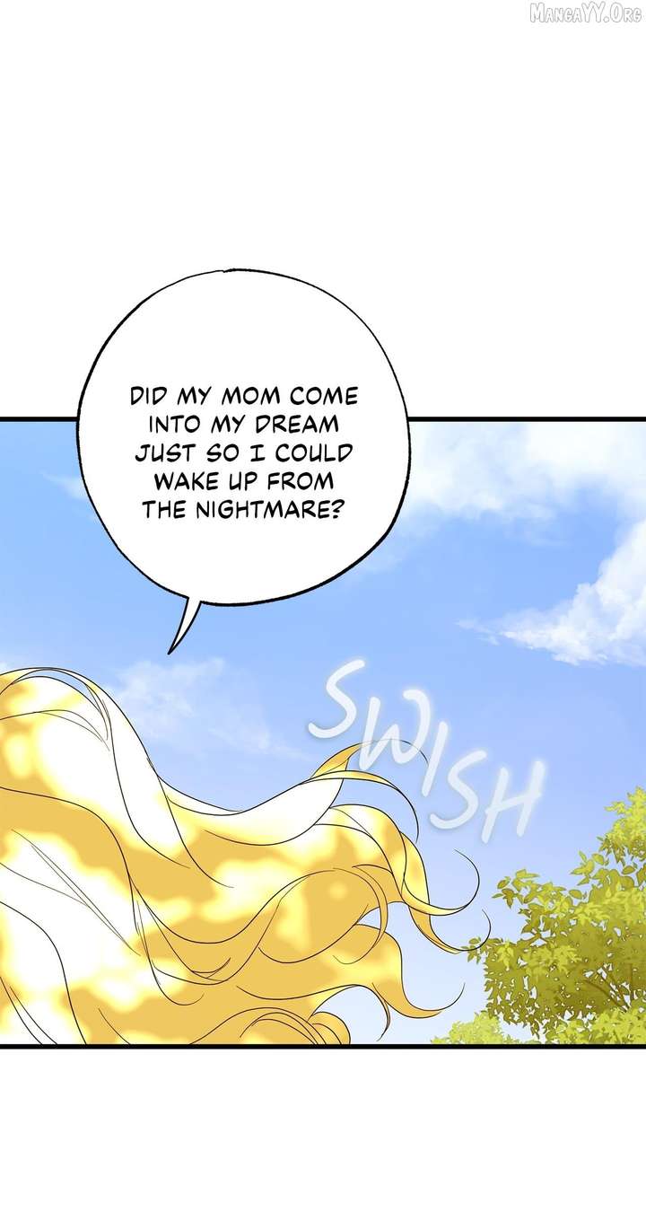 ch 104 95