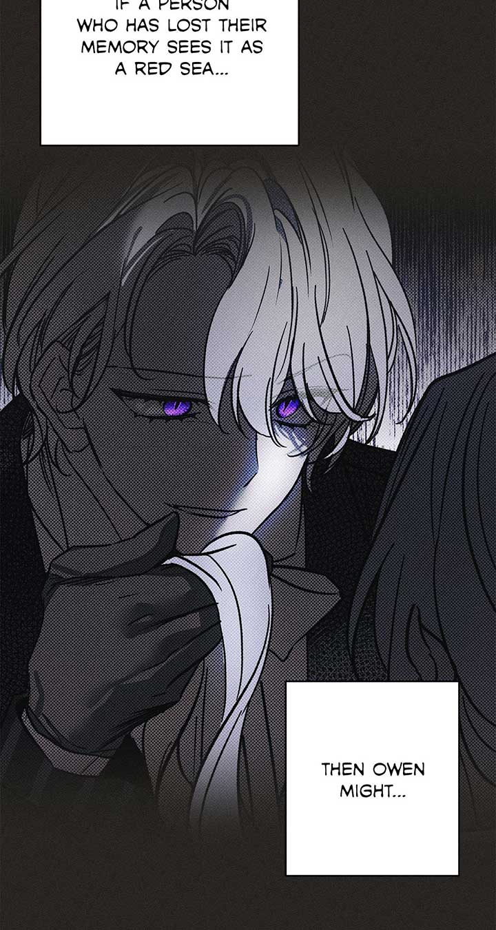 My Husband Who Hates Me Has Lost His Memories Chapter 27 480 098