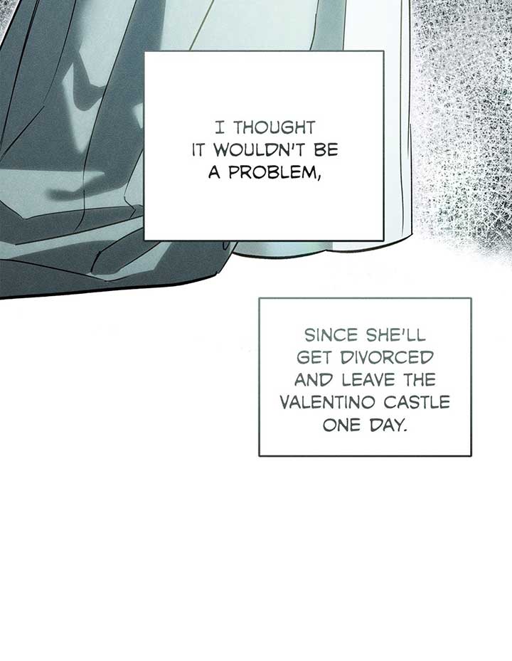 My Husband Who Hates Me Has Lost His Memories Chapter 31 529 048