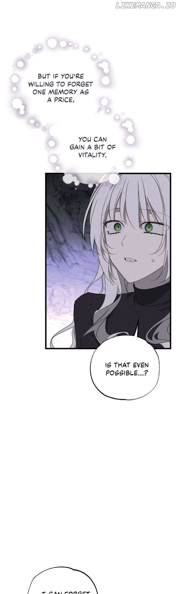 My Husband Who Hates Me Has Lost His Memories Chapter 62 252 56