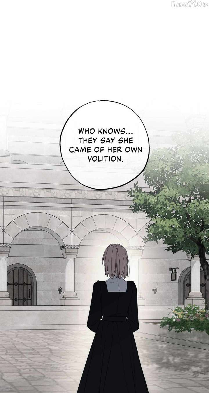 My Husband Who Hates Me Has Lost His Memories Chapter 99 316 ch 99 4