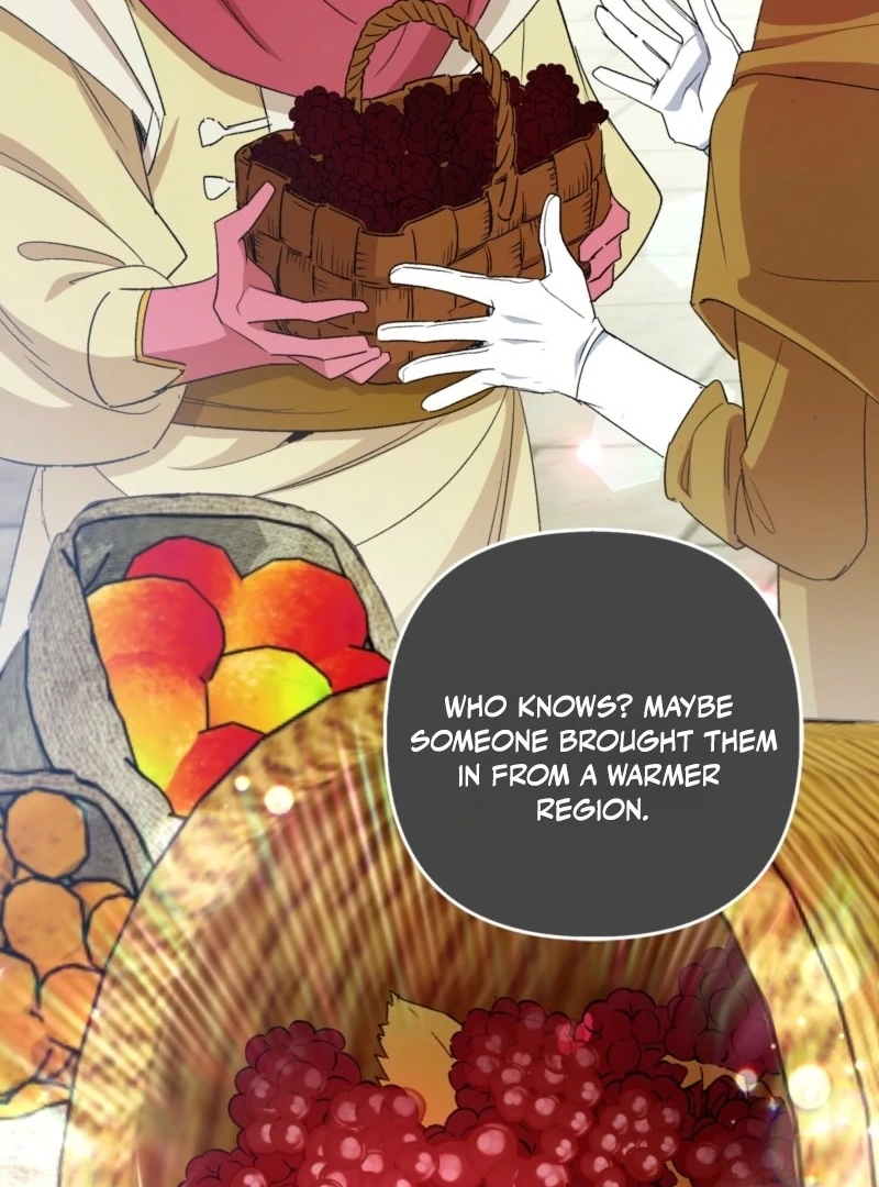 How to Perfectly End a Contract Marriage Chapter 47 481 ch 47 42