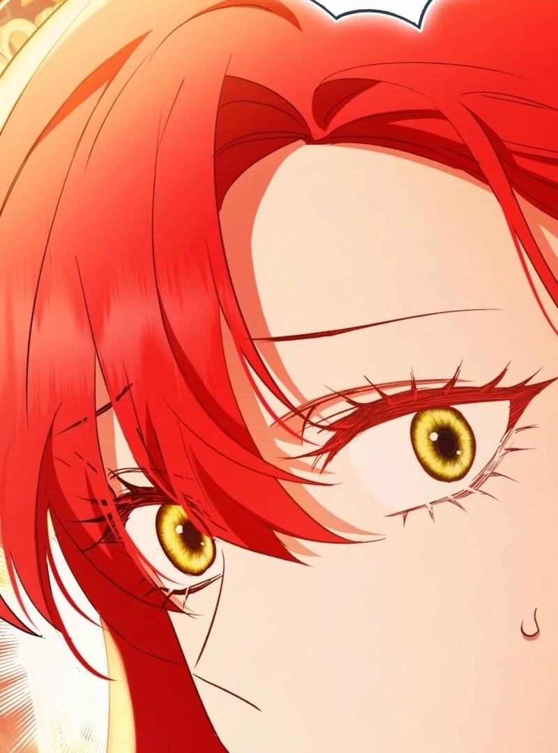 How to Perfectly End a Contract Marriage Chapter 53 471 029