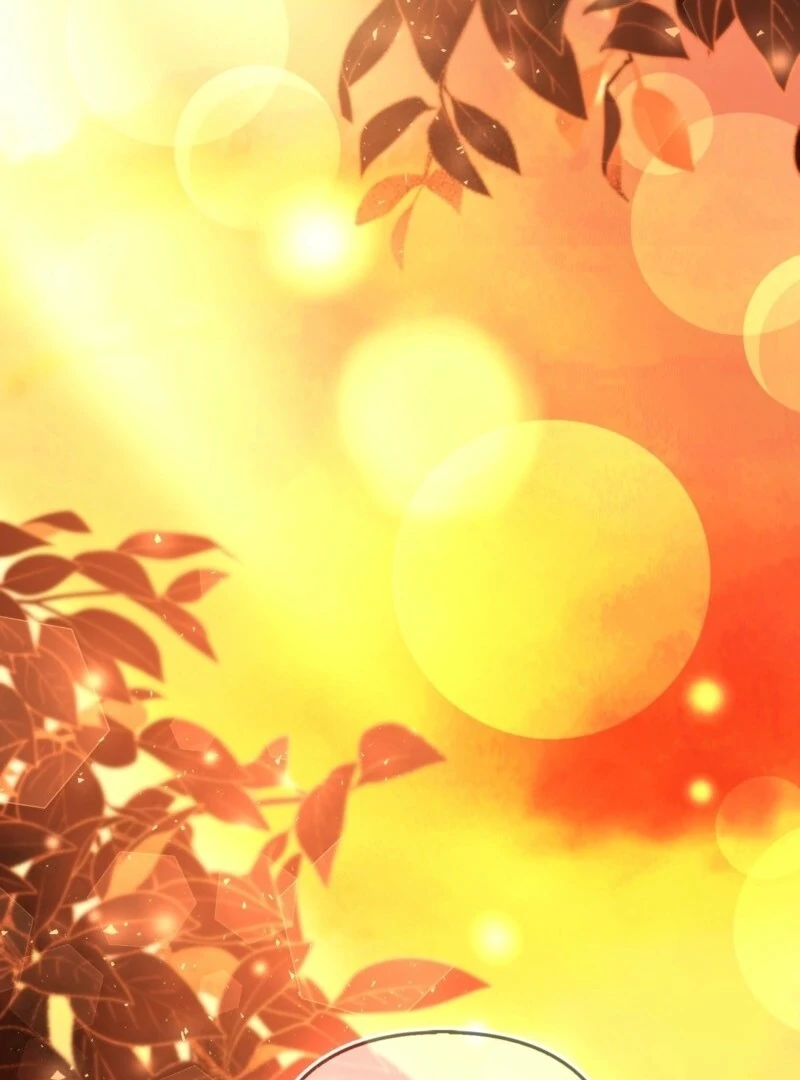 How to Perfectly End a Contract Marriage Chapter 62 382 003