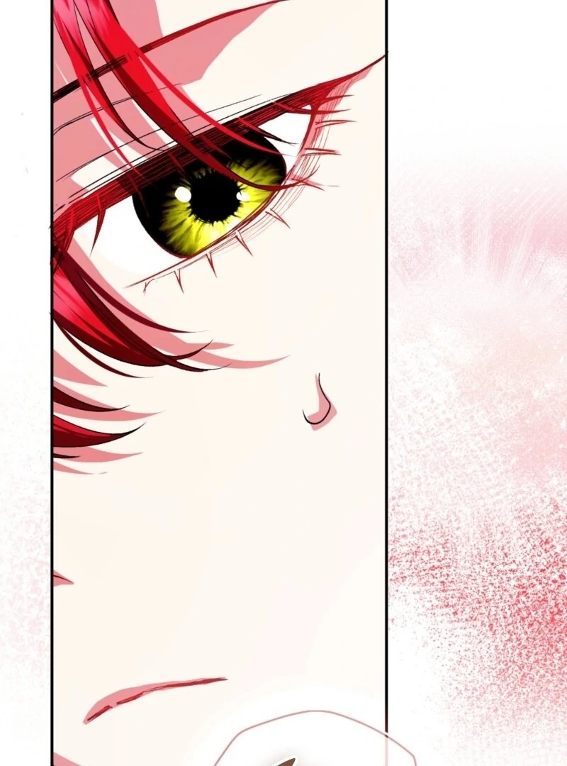 How to Perfectly End a Contract Marriage Chapter 62 480 101