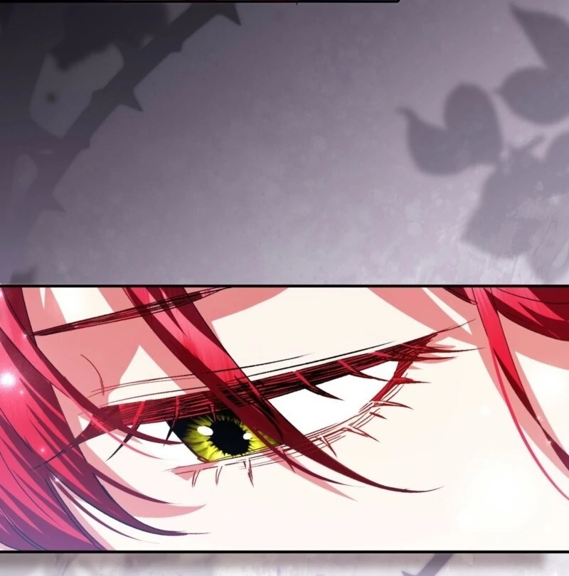 How to Perfectly End a Contract Marriage Chapter 62 495 116