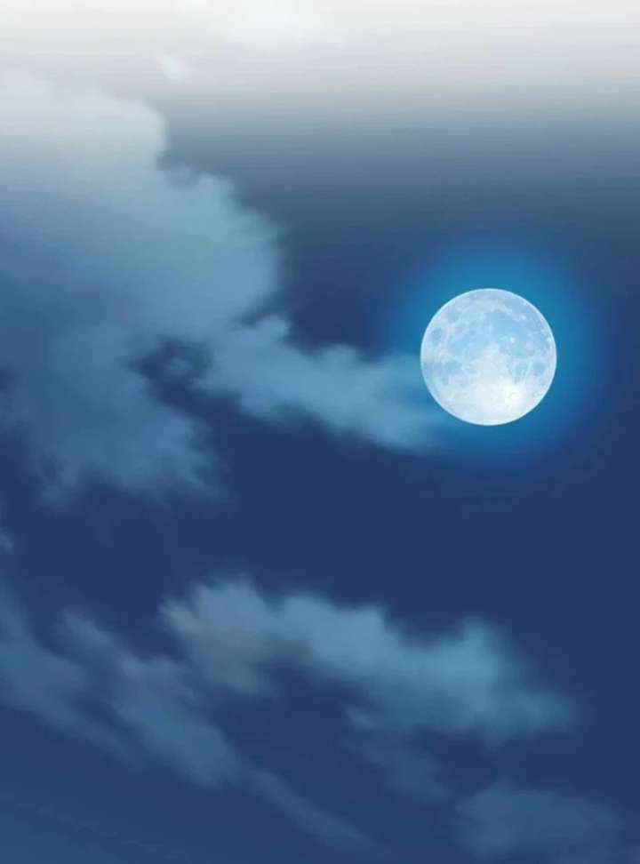 003