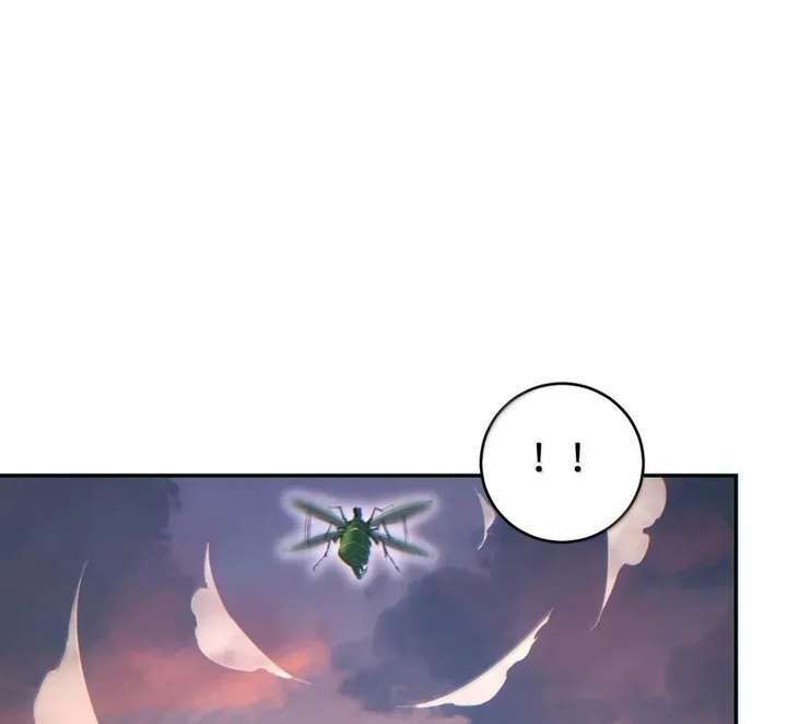 ch 95 20