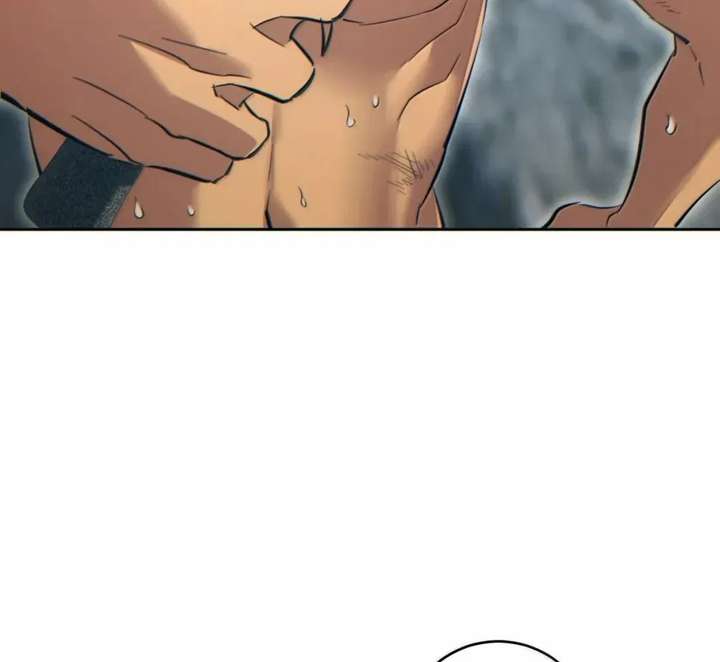 ch 95 88