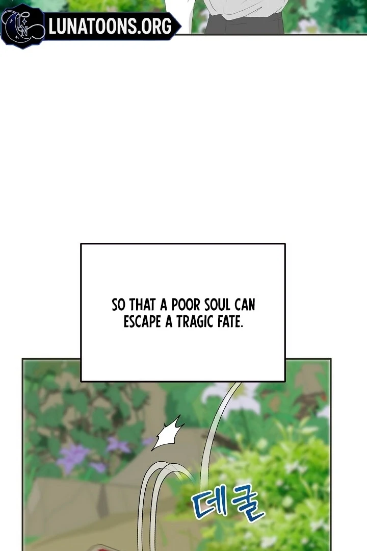 80