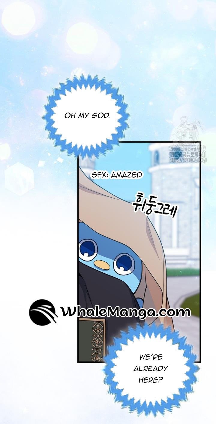 The Crazy Killer Whale’s Favourite Penguin Chapter 27 192 11