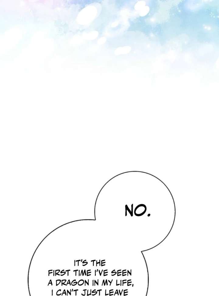 The Crazy Killer Whale’s Favourite Penguin Chapter 66 556 78