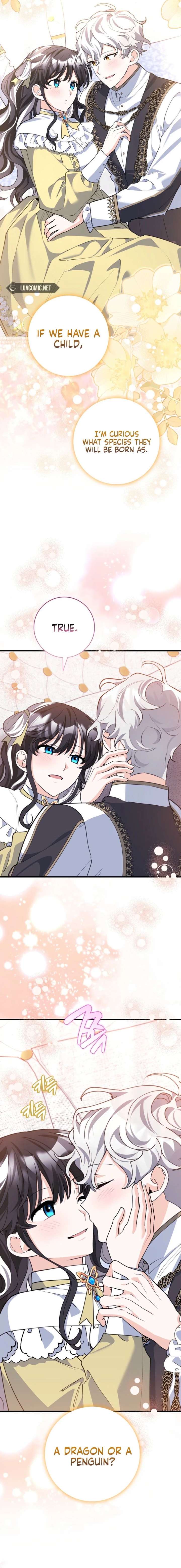 ch 74 13