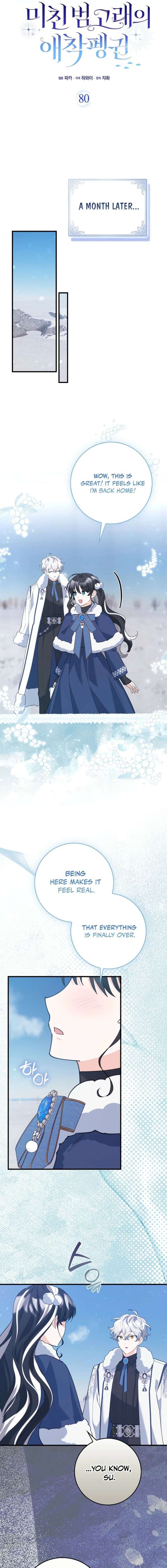 ch 80 13