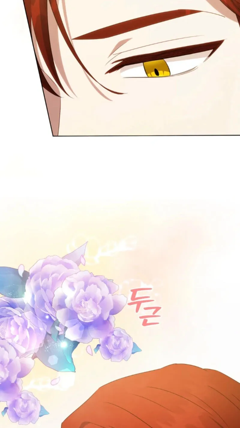 c1b312c133d8