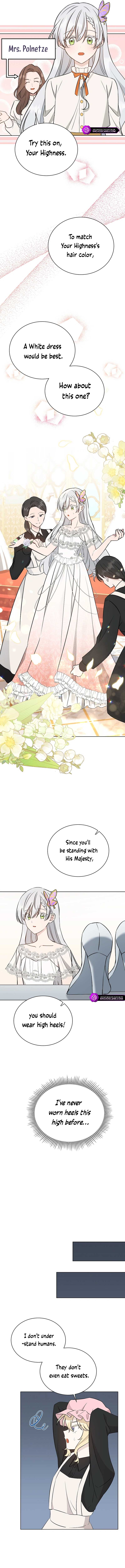 A Mouse Biting a Dragon’s Tail Chapter 11 72 13