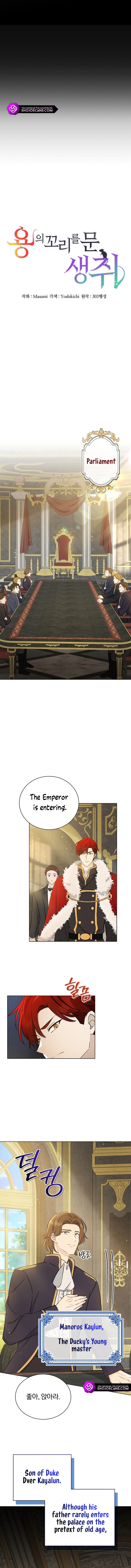 A Mouse Biting a Dragon’s Tail Chapter 12 52 2