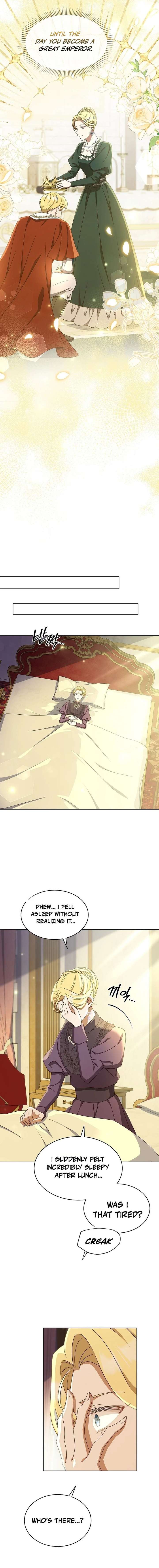 ch 81 15