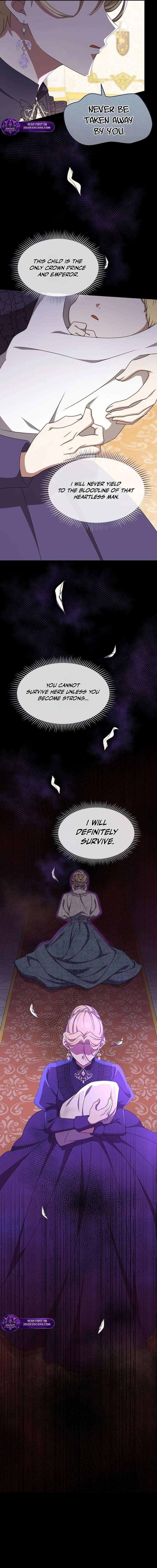 ch 81 22