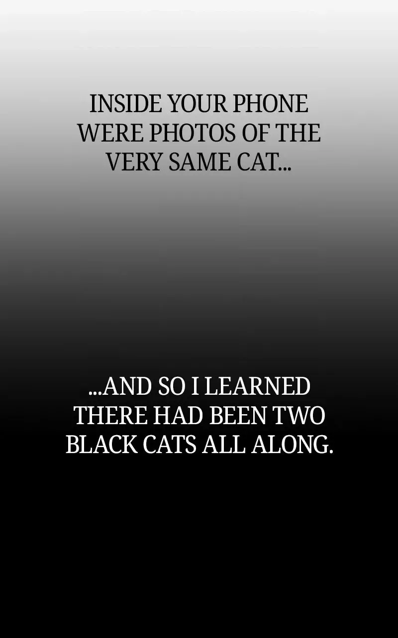 84334495250d