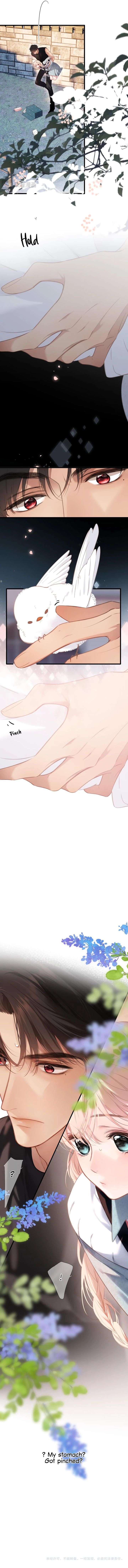 ch 61 5